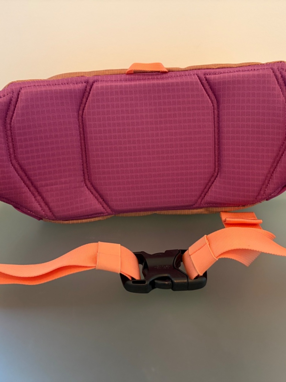 Patagonia Black Hole Waist Pack 5L - Unisex - Picture 4 of 7